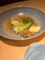 IMG_7158.jpeg IMG_7158.jpeg