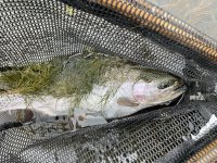 IMG_6404.jpg
