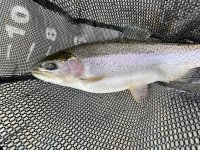 IMG_6406.jpg