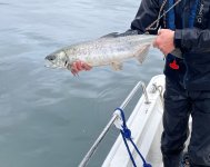IMG_4844.jpeg