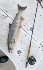 IMG_4849.jpeg