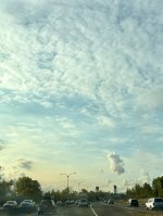 IMG_8071.jpeg