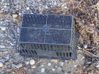 IMG_4256.jpeg