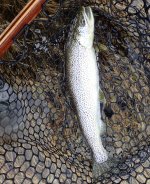 IMG_4264.jpeg
