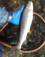 IMG_4267.jpeg