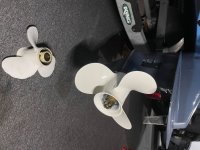 IMG_4881.jpeg