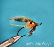 Golden Edge Orange.jpg