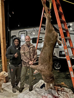 1761751600140.png 1761751600140.png