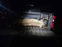 1761751634996.png 1761751634996.png