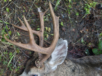 1761751661419.png 1761751661419.png