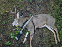 1761751671897.png 1761751671897.png