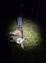 1761751684860.png 1761751684860.png