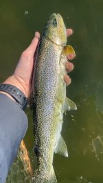IMG_1871.jpeg