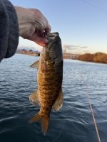 IMG_2427.jpeg IMG_2427.jpeg