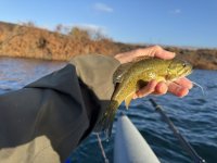 IMG_2428.jpeg IMG_2428.jpeg