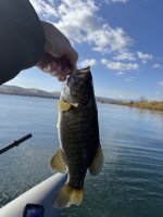 IMG_2435.jpeg IMG_2435.jpeg