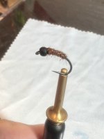 IMG_7174.jpeg
