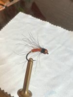 IMG_7176.jpeg