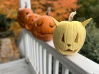 IMG_5343.jpeg