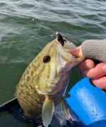 IMG_1433.jpeg