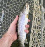 IMG_1905.jpeg