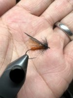 IMG_7188.jpeg