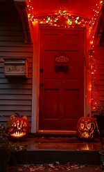 IMG_8100.jpeg