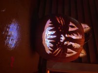 IMG_8106.jpeg IMG_8106.jpeg