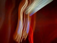 IMG_8107.jpeg IMG_8107.jpeg