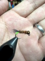 IMG_7191.jpeg