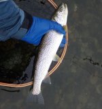 IMG_4300.jpeg