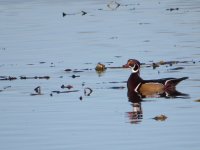 IMG_4791.JPG