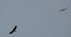 1762116423512.png