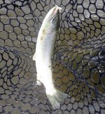 IMG_4363.jpeg