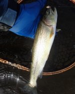 IMG_4364.jpeg