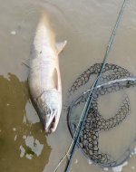 IMG_1846.jpeg IMG_1846.jpeg