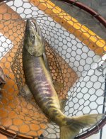 IMG_1844.jpeg IMG_1844.jpeg