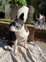 IMG_5366.jpeg IMG_5366.jpeg