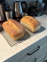 IMG_2262.jpeg