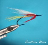 Carters Dixi 3.jpg