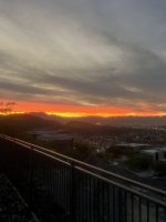 IMG_7208.jpeg IMG_7208.jpeg