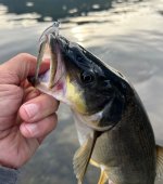 IMG_7906.jpeg IMG_7906.jpeg