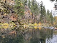 IMG_5241.jpeg IMG_5241.jpeg