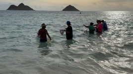 IMG_7103.jpeg IMG_7103.jpeg