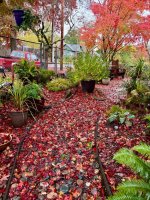 IMG_8127.jpeg IMG_8127.jpeg