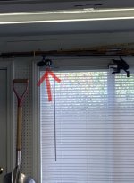 IMG_9868.jpeg