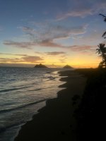 IMG_7216.jpeg IMG_7216.jpeg