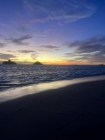 IMG_7217.jpeg IMG_7217.jpeg