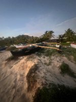 IMG_7219.jpeg IMG_7219.jpeg