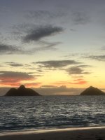 IMG_7220.jpeg IMG_7220.jpeg